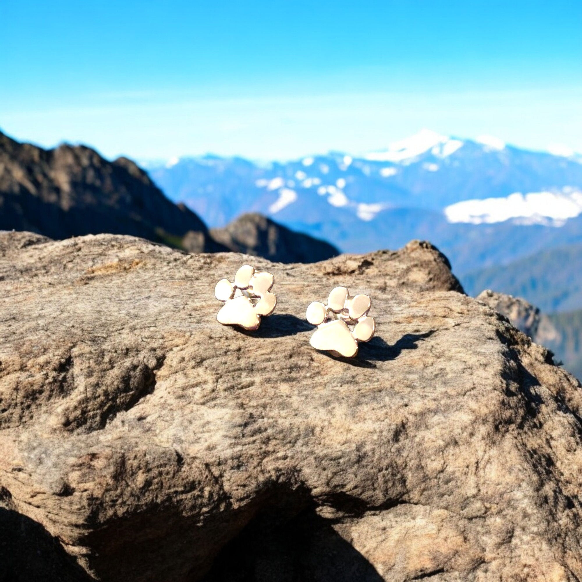 HiverCo™ | Boucles d'oreilles en forme de patte